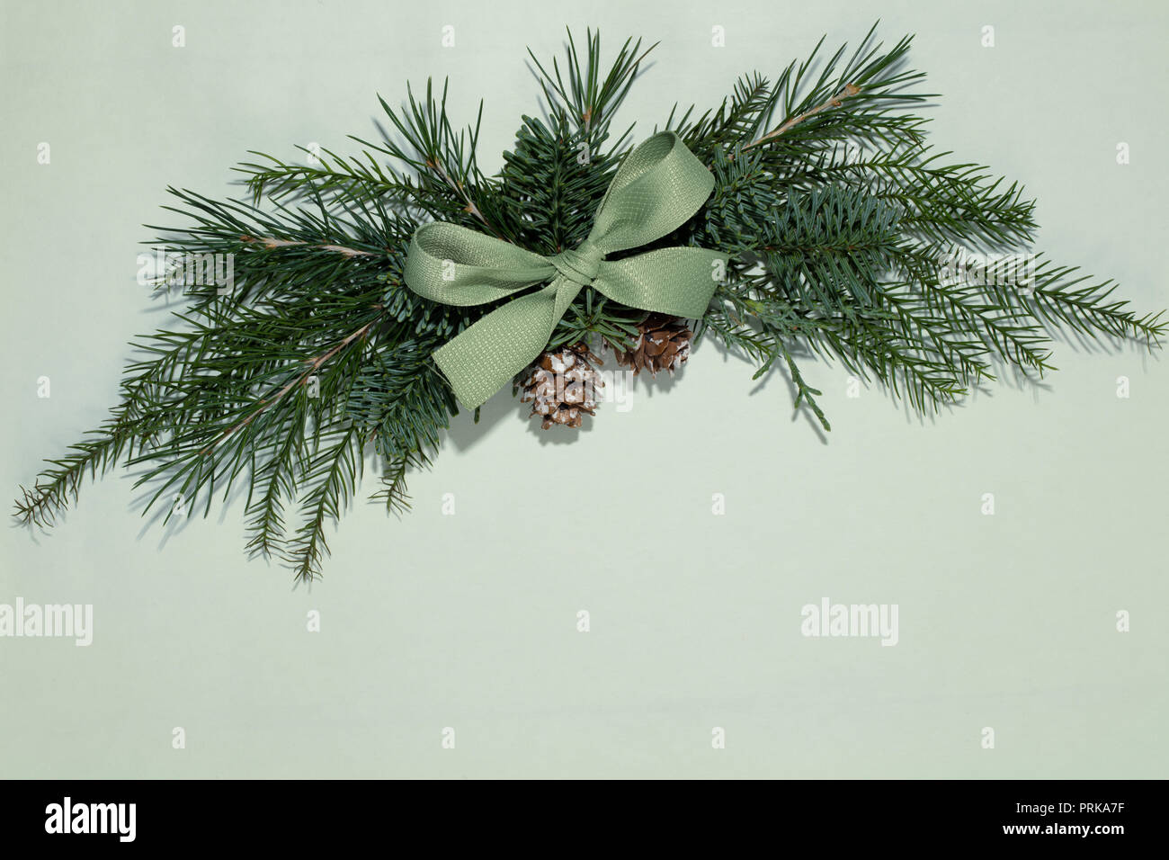 Fir branch decorated with ribbon bow Stock Photo
