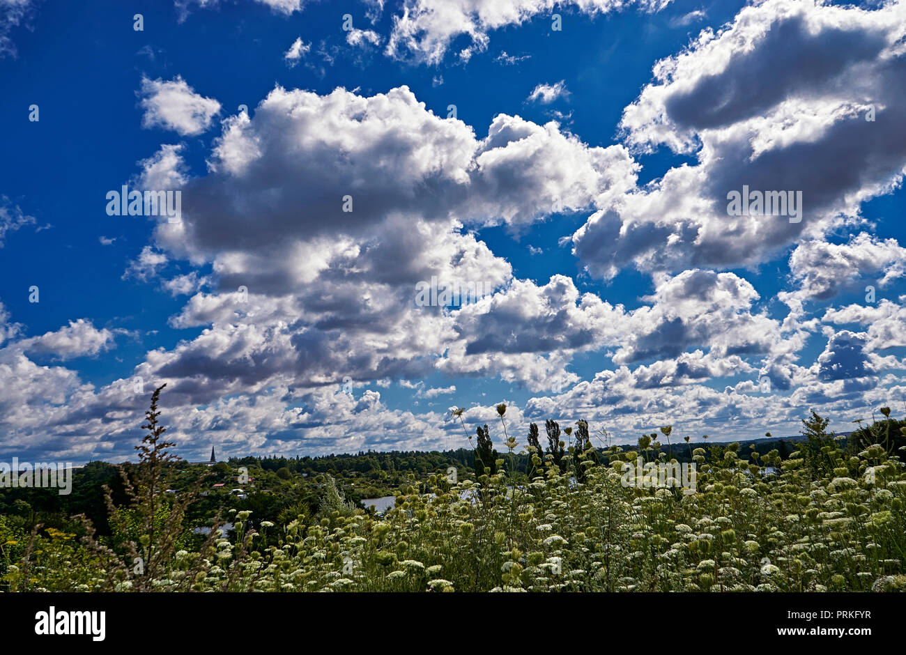 Green meadow under blue sky with clouds Stock Photo - Alamy