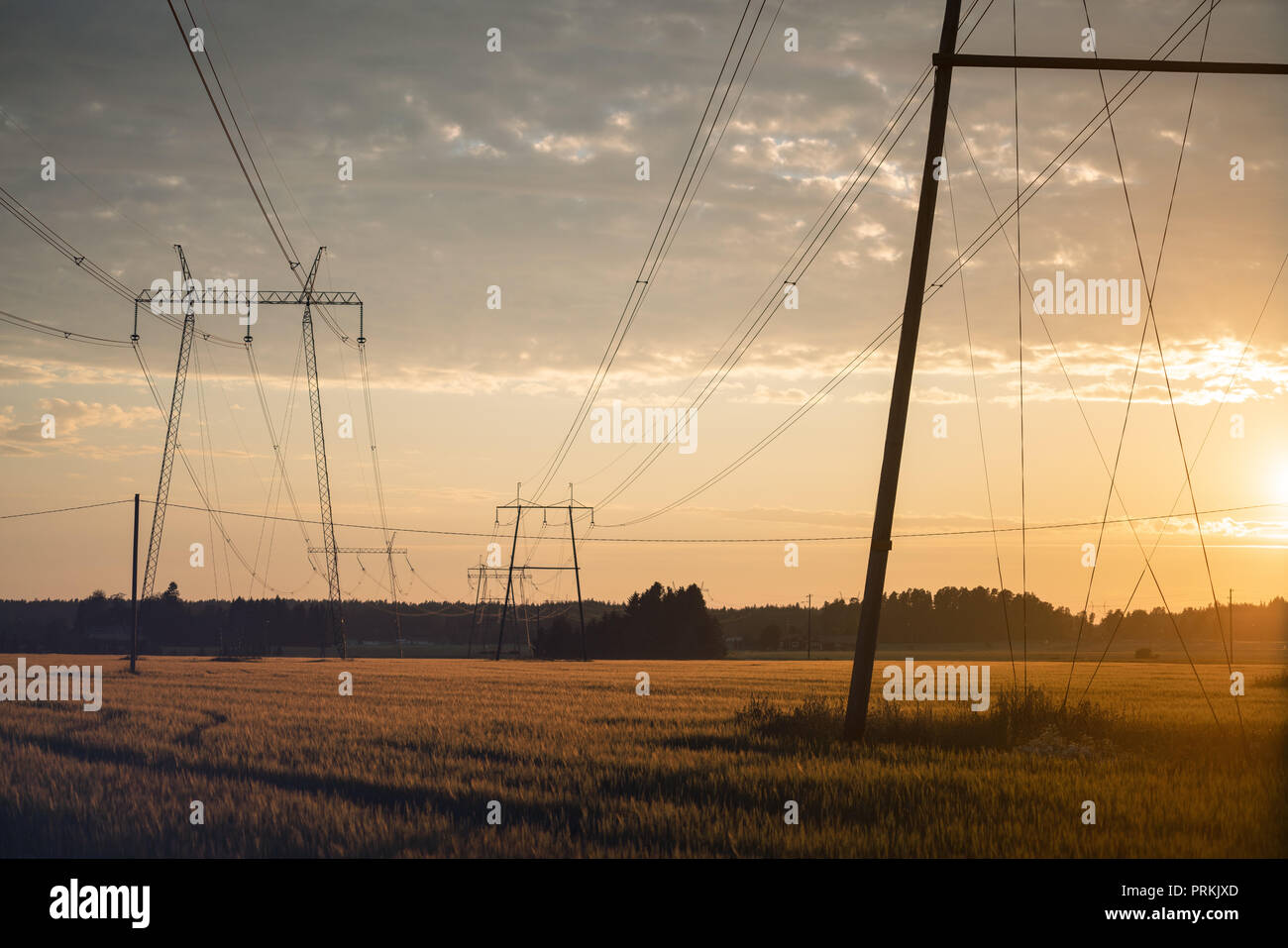 Silhouette of a power lines crossing a field at golden sunset Stock Photo