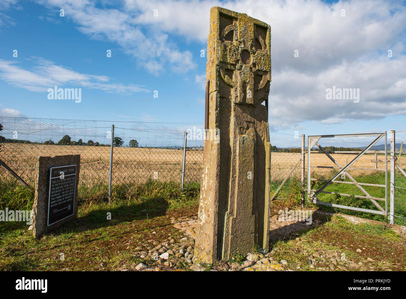 St. Orland's Stone, a tall Pictish cross-slab, between Glamis and Forfar, Angus, Scotland. Stock Photo