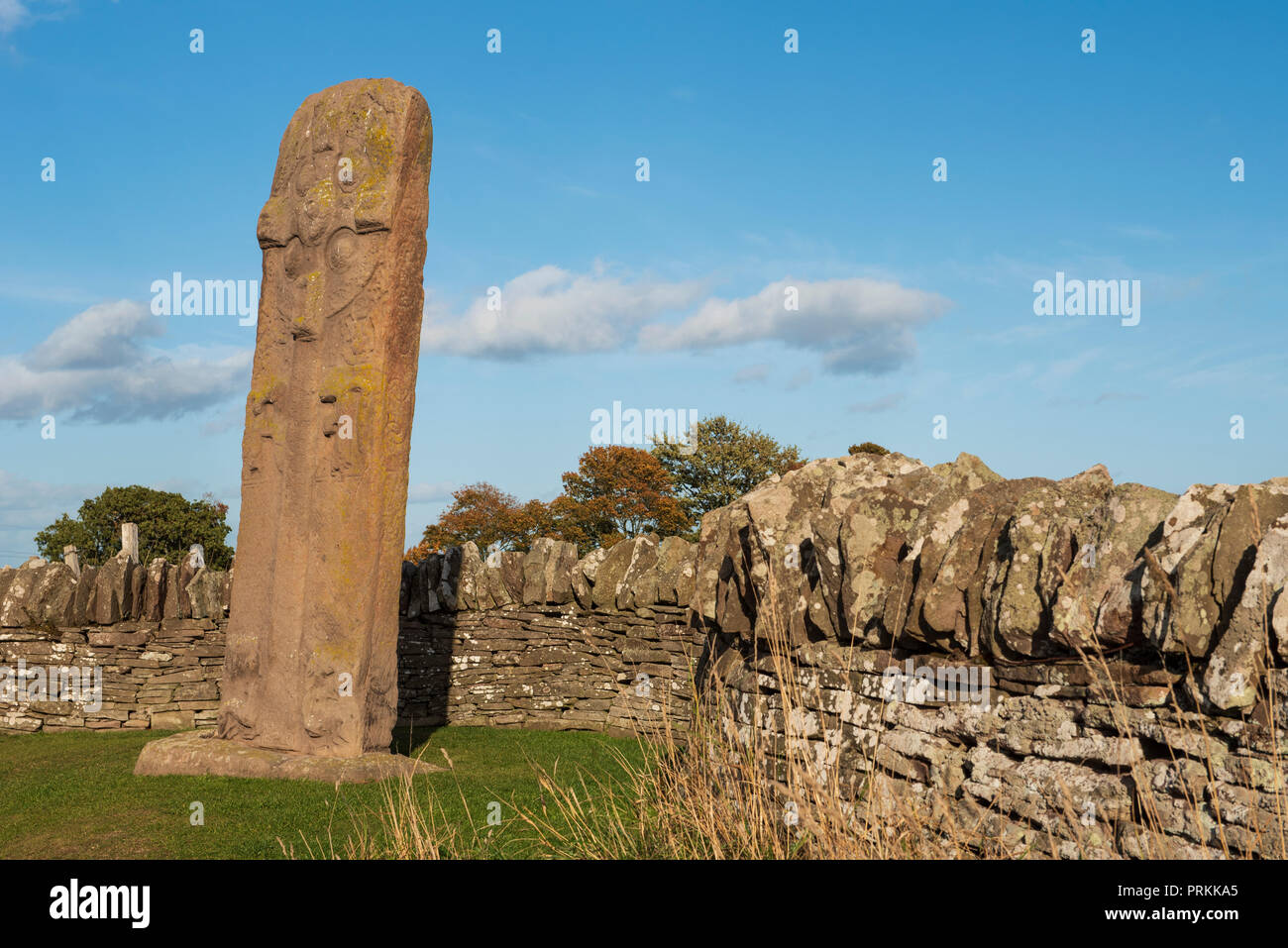 The Great Stone ( The Roadside Cross ) one of three 8th century Pictish stones at the side of the B9134 at Aberlemno, Angus, Angus, Scotland. Stock Photo