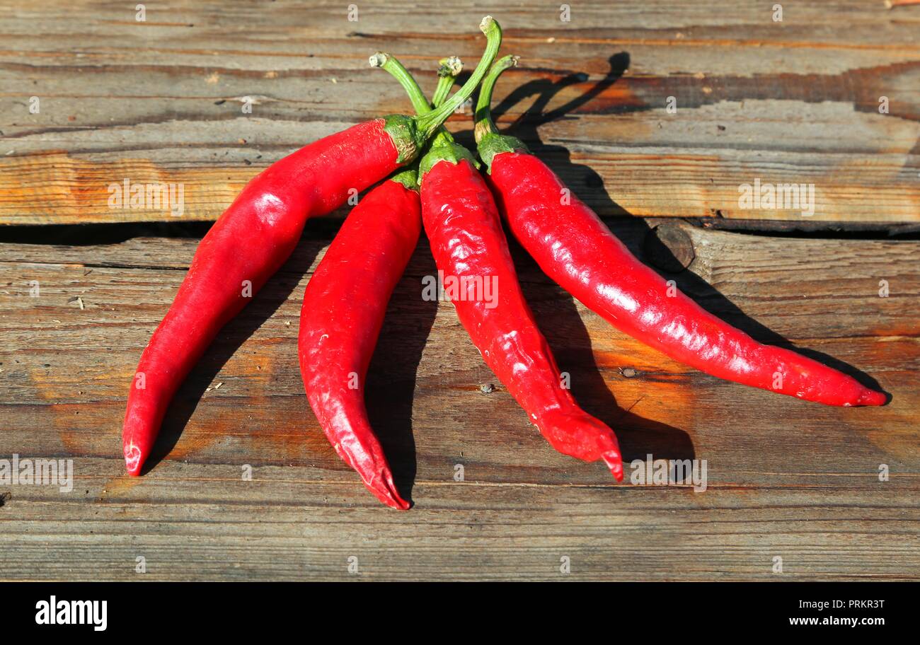 Four chillies hi-res stock photography and images - Alamy