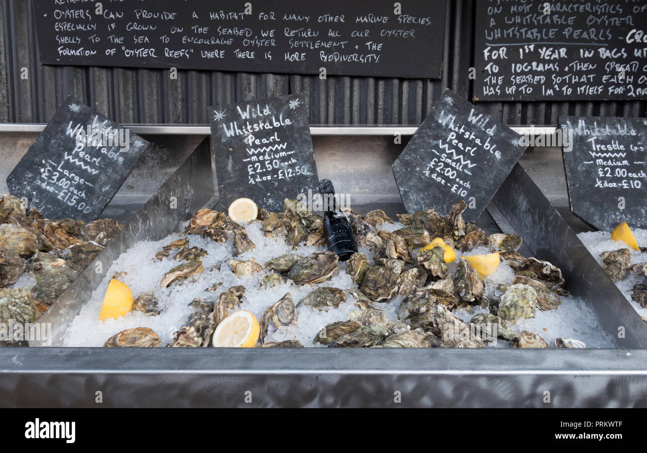 Pearl oysters hires stock photography and images Alamy