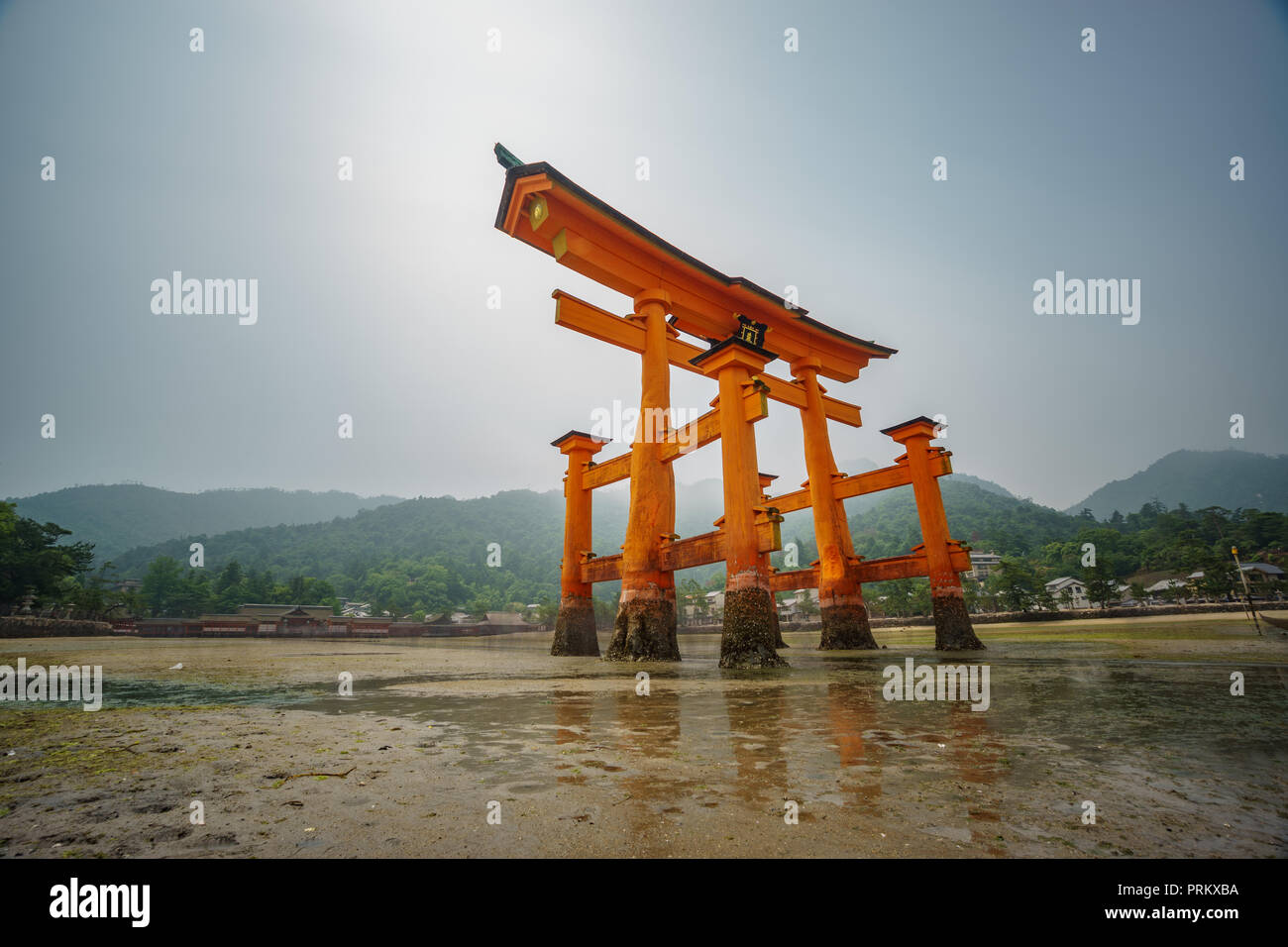 Torii Tori Gate Door High Resolution Stock Photography and Images - Alamy