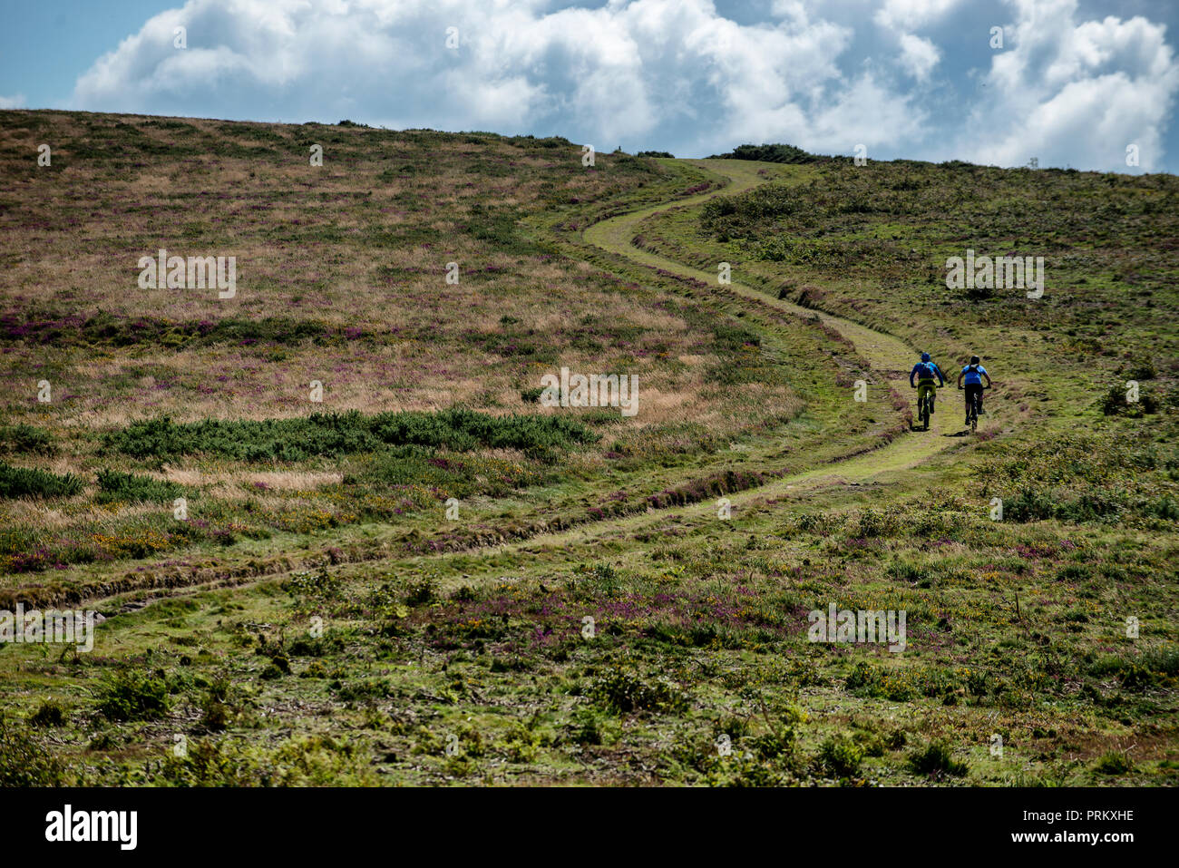 exmoor mountain biking