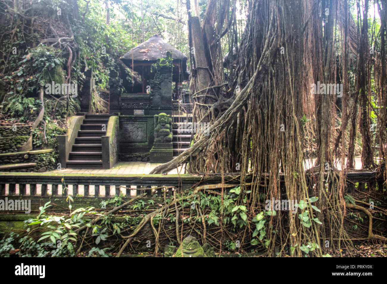 The Monkey Sanctuary Is One Of The Most Famous Tourist Spots In The Monkey Sanctuary Is One Of The Most Famous Tourist Spots In