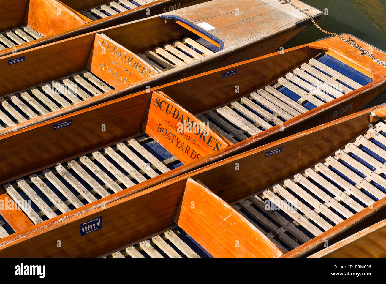 A row of punt boats with Scudamore's boatyards engraved on them on a sunny Summer day, Cambridge, UK Stock Photo