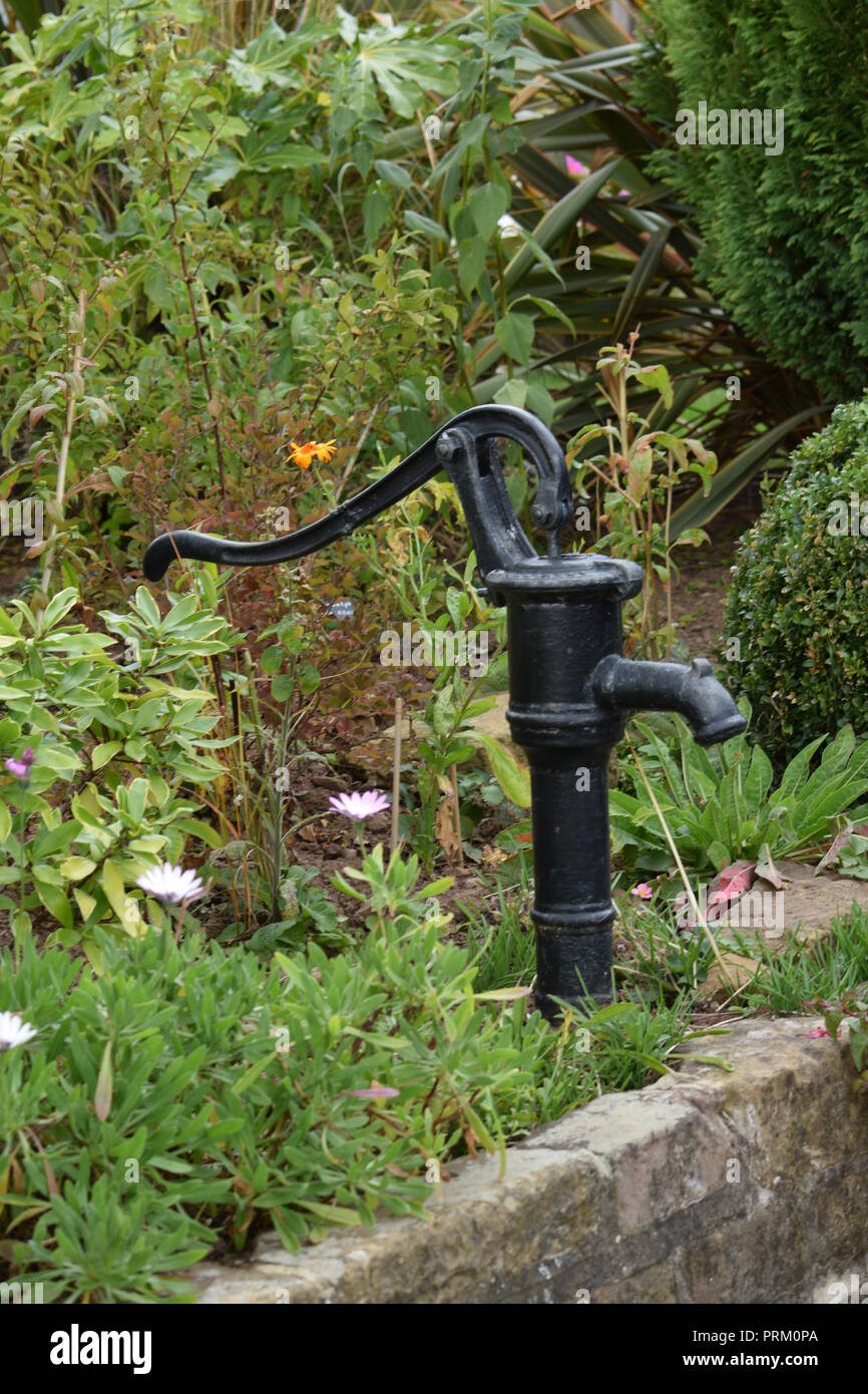 Sygdom Forretningsmand underjordisk Garden water pump Stock Photo - Alamy