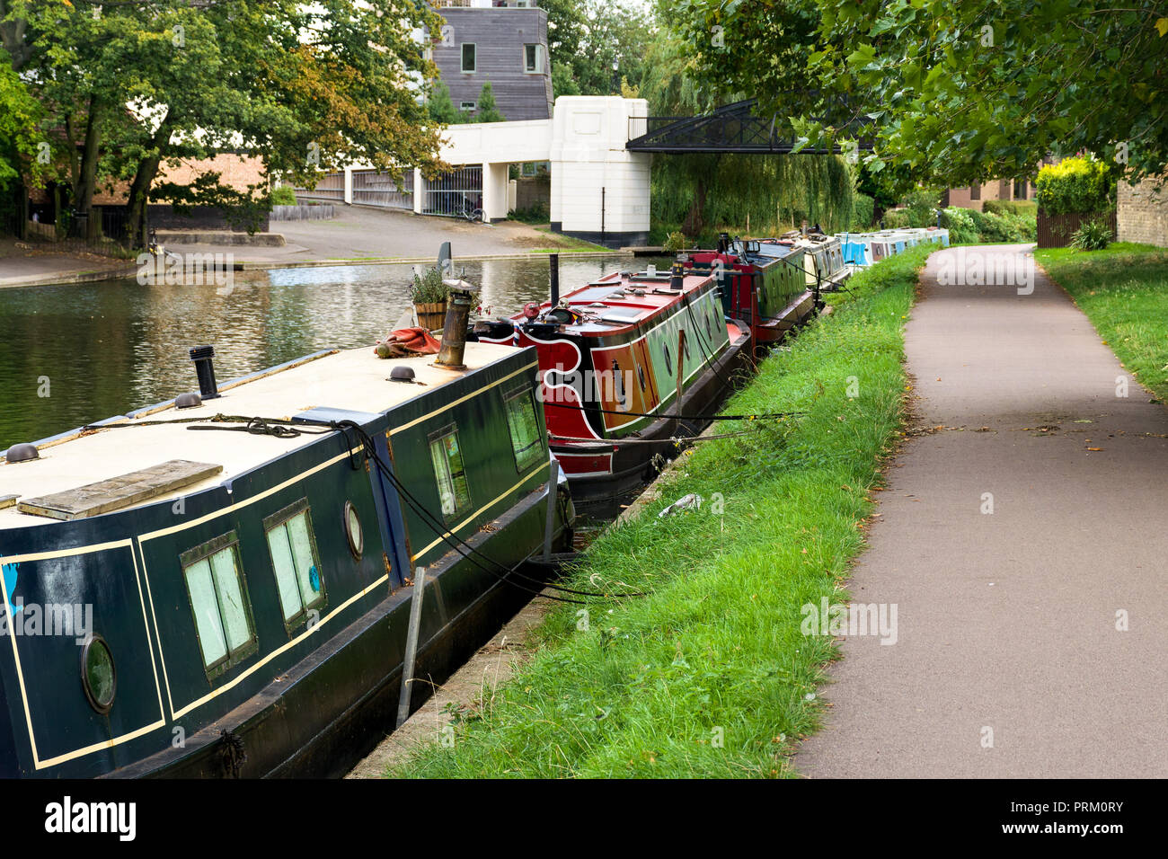 A row of narrow boats moored on the river Cam by Jesus Green, Cambridge, UK Stock Photo