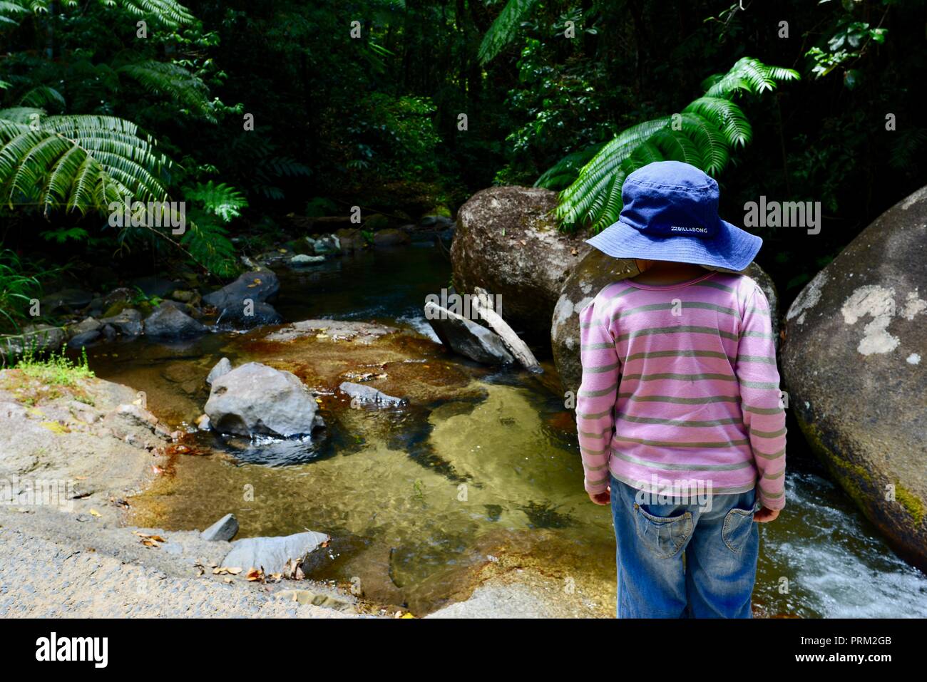 A young girl looking at a mountain stream, Misty Mountains wilderness tracks, Palmerston Doongan Wooroonooran National Park, Queensland, Australia Stock Photo