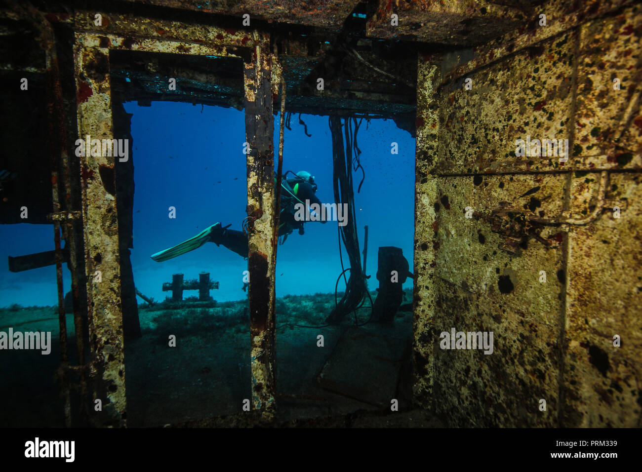 Scuba diver diving underwater hi-res stock photography and images - Alamy