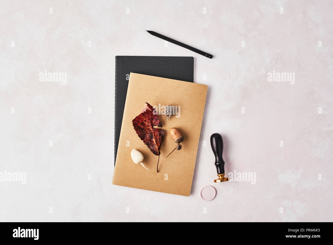 Autumn concept of the office. Top view of twok notebooks with leaf, acorn, wax seal stamp and black pencil on rose and white background. Flat lay with Stock Photo