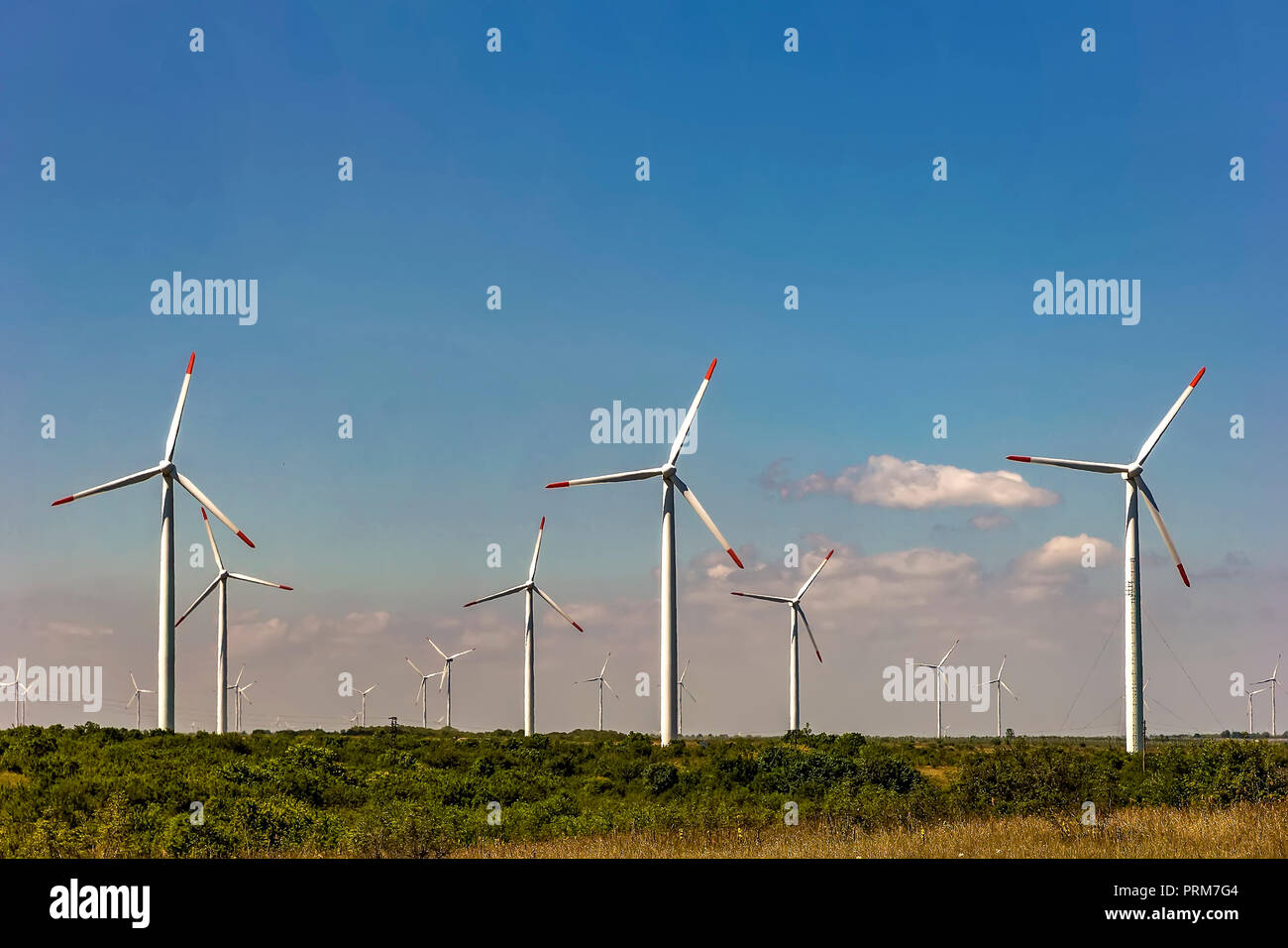 Wind turbine farm under the blue day sky Stock Photo - Alamy