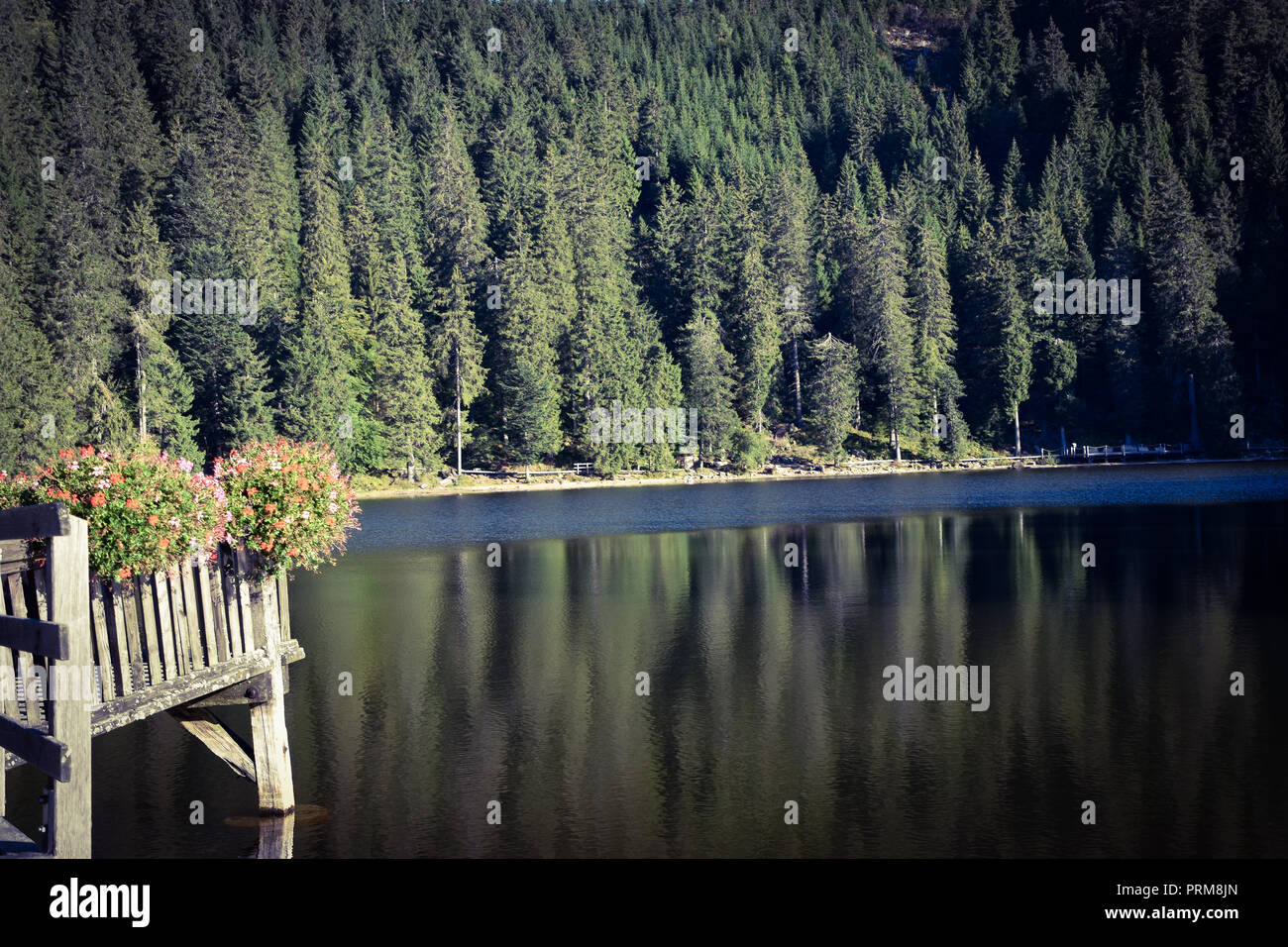Mummelsee in the Black Forest Germany Stock Photo