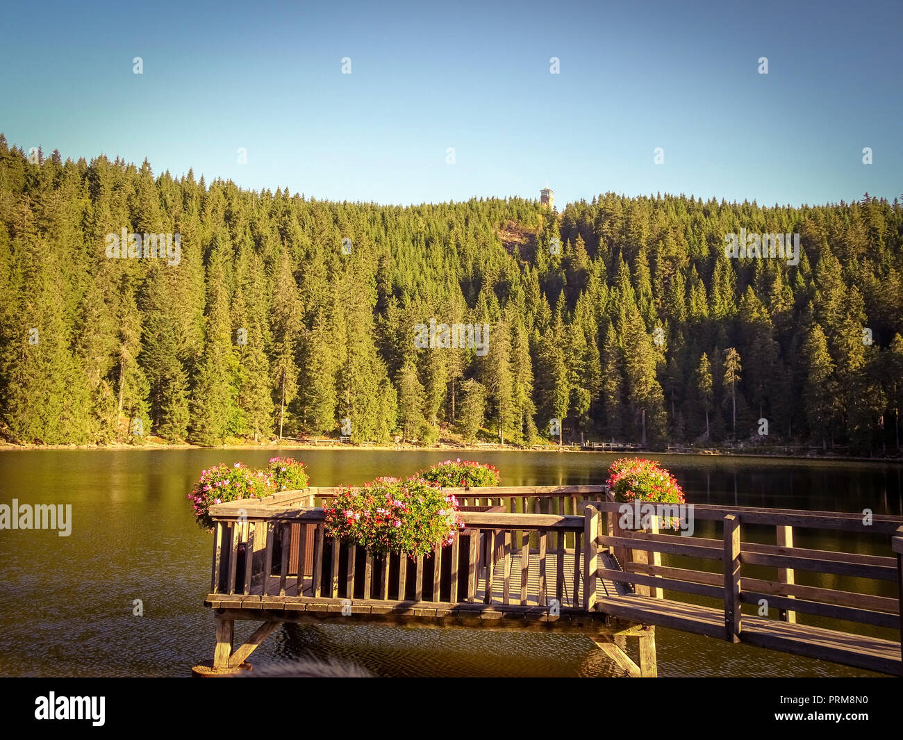 Mummelsee in the Black Forest Germany Stock Photo