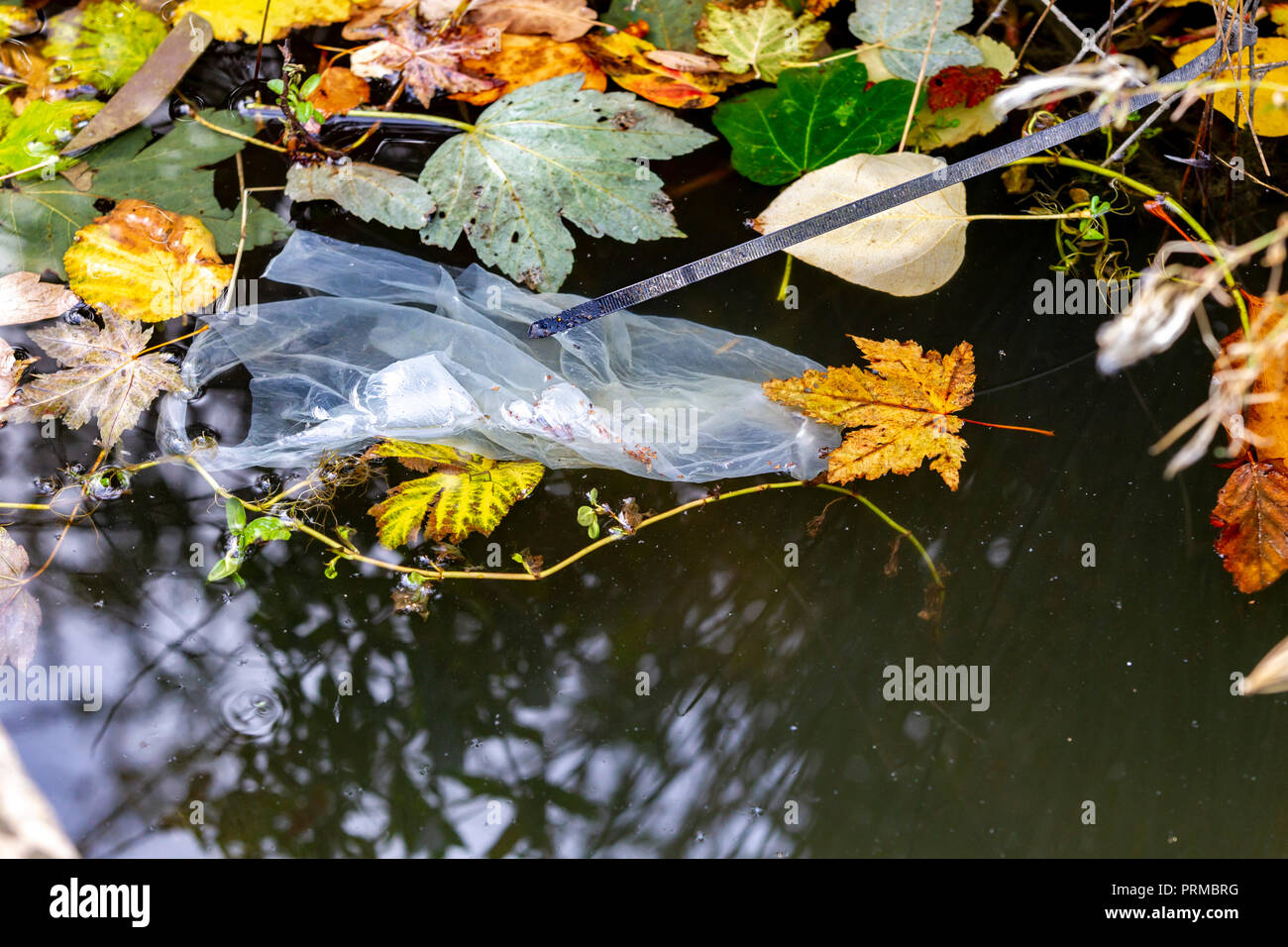 Northampton. U.K.3rd October 2018,  Food and drink waste thrown on the ground and in the park lake, photos taken on a 20min walk in the park. Stock Photo