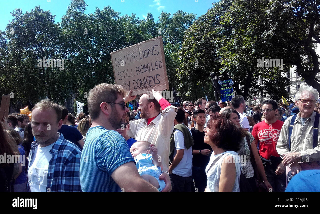 London UK, 2nd July 2016. 'March for Europe', Anti-Brexit protest. A protester holds a sign saying 'British lions still being led by donkeys'. Stock Photo