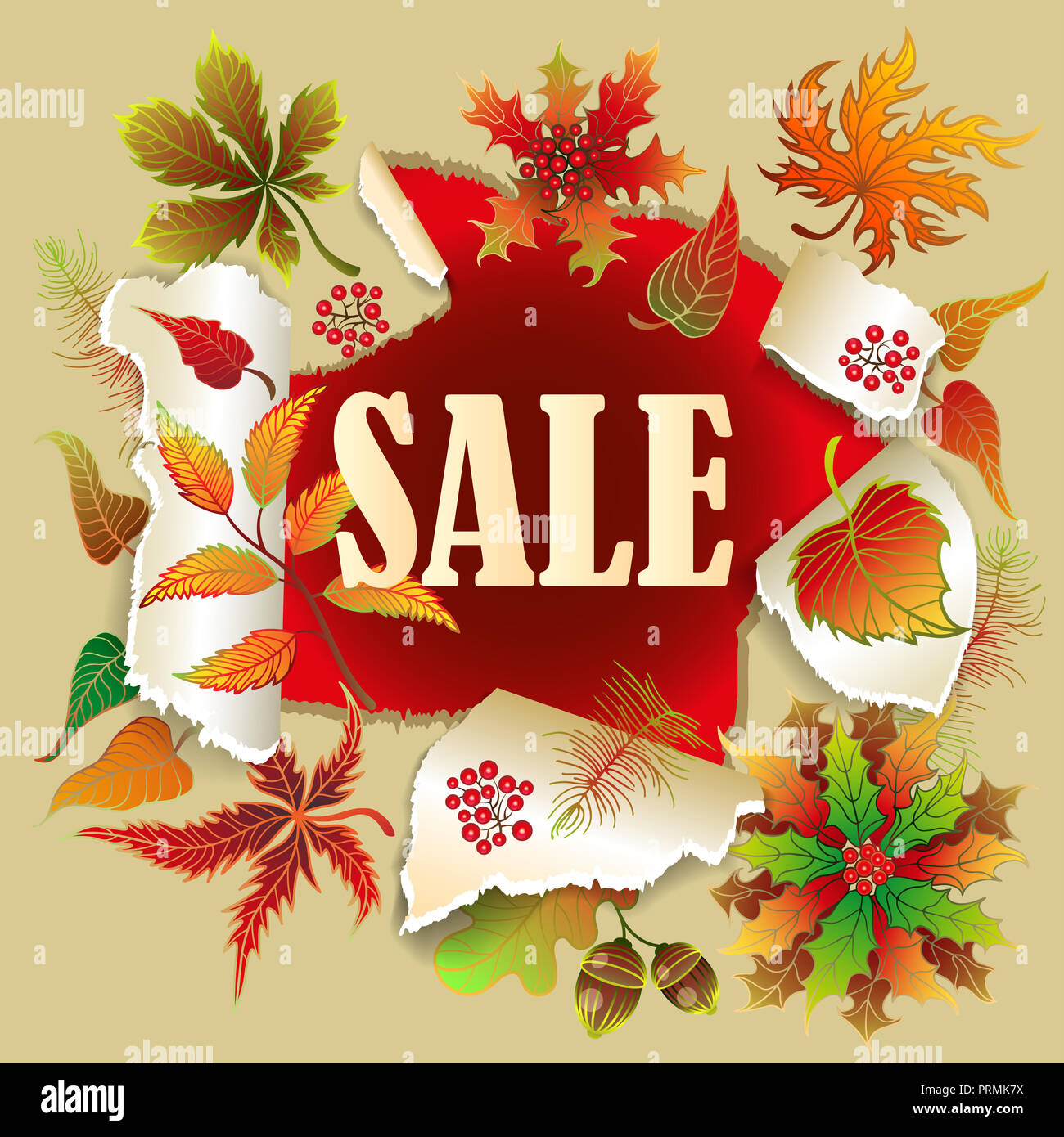 Autumn sale poster of discount promo web banner for autumnal seasonal shopping of maple leaf, rowan berry or oak acorn and mushroom. Stock Photo