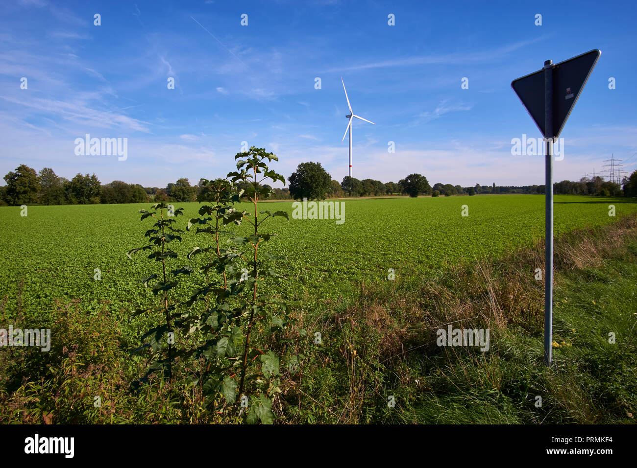 a windmill in a landscape picture Stock Photo