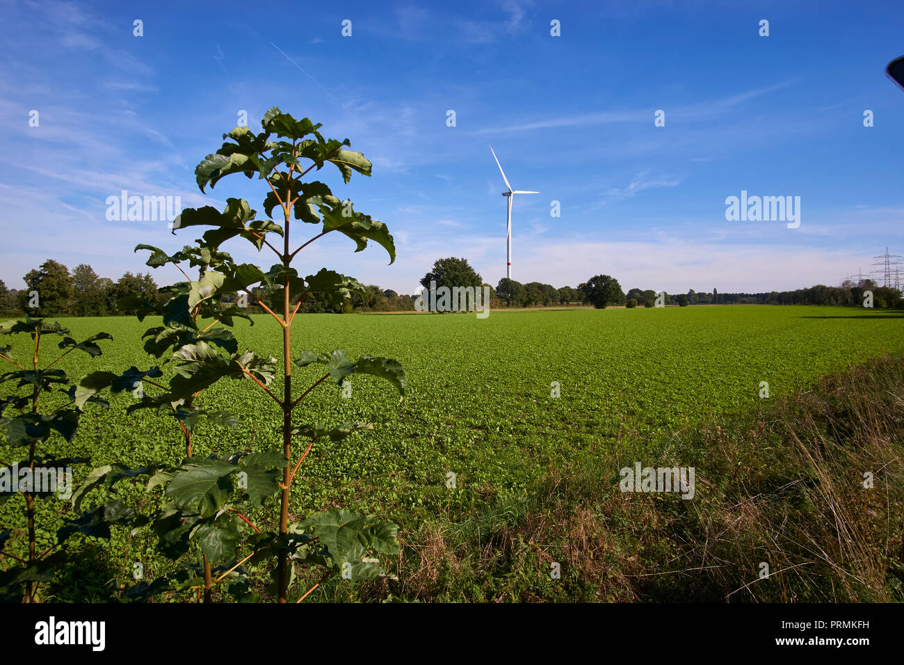 a windmill in a landscape picture Stock Photo