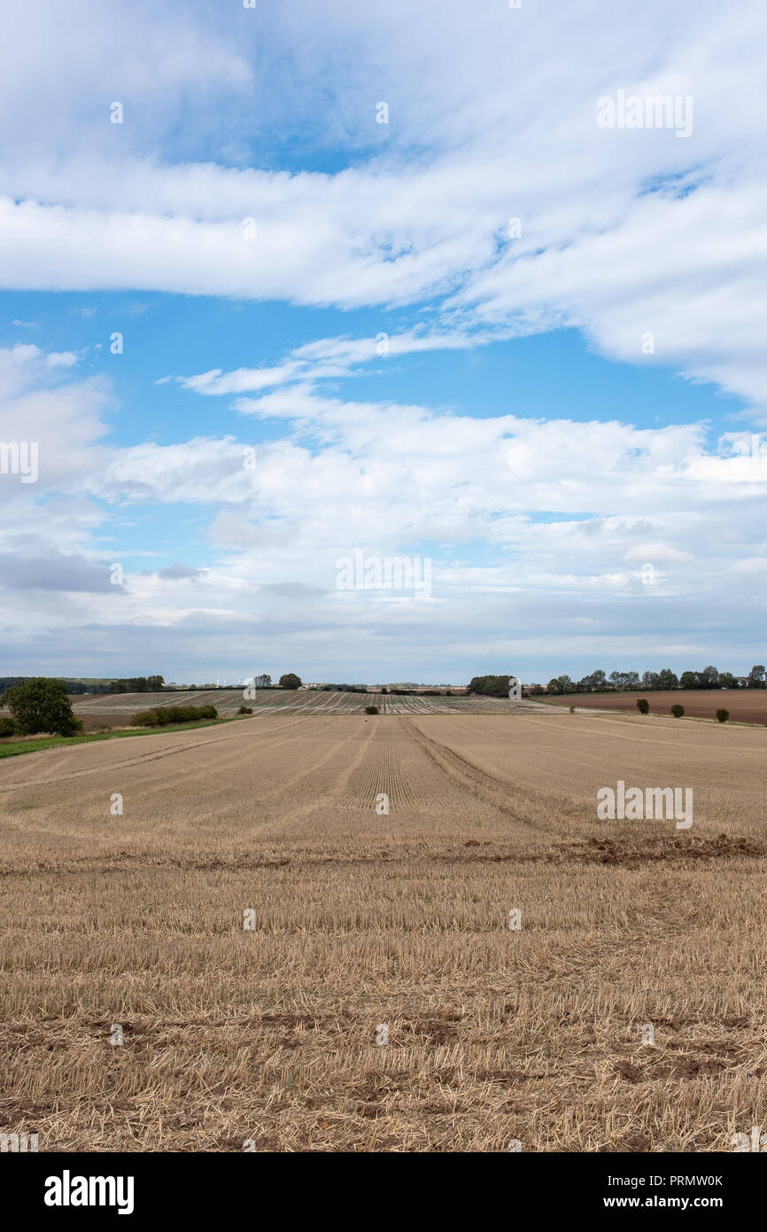 Shown in East Riding of Yorkshire is a freshly harvested field on a sunny autumn day. Stock Photo