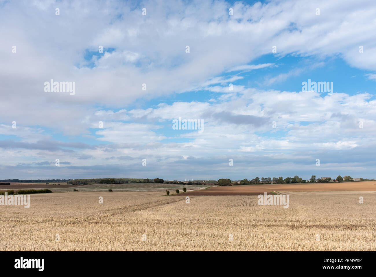 Shown in East Riding of Yorkshire is a freshly harvested field on a sunny autumn day with rolling clouds and a blue sky. Stock Photo