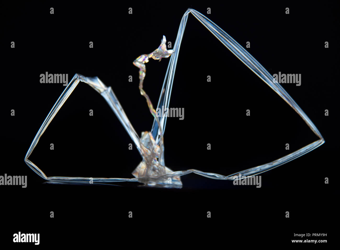 Cross Polarization Stock Photo