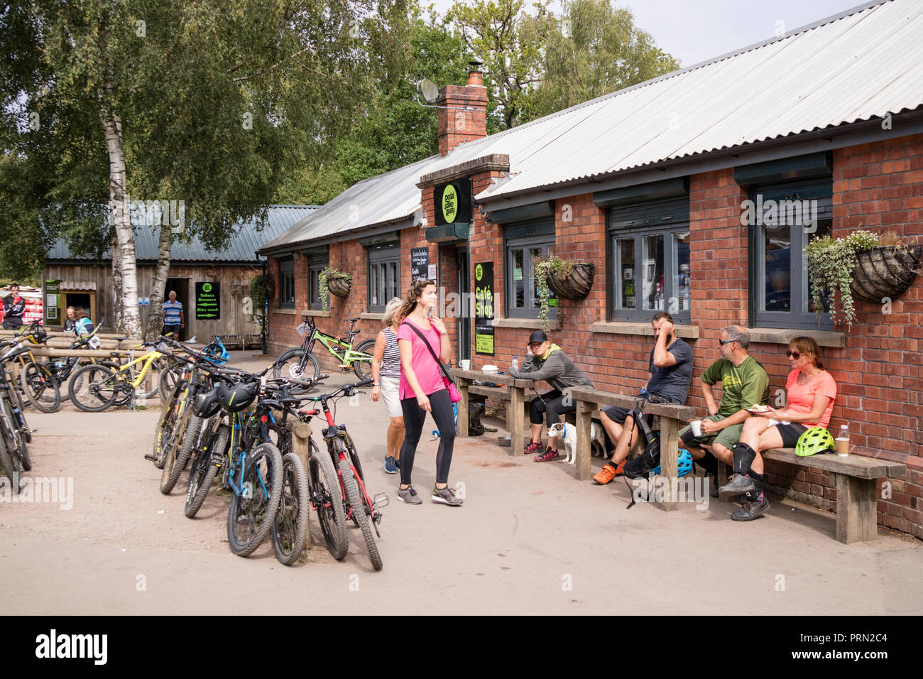 The Pedalabikeaway cycle centre in the Forest of Dean, Gloucestershire,  England, UK Stock Photo - Alamy