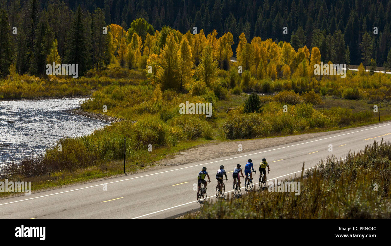 Within yellowstone national park hi res stock photography and images Alamy