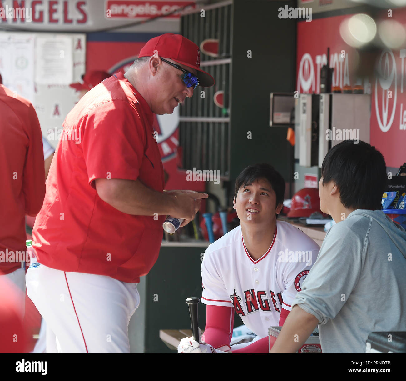 Mike scioscia hi-res stock photography and images - Alamy