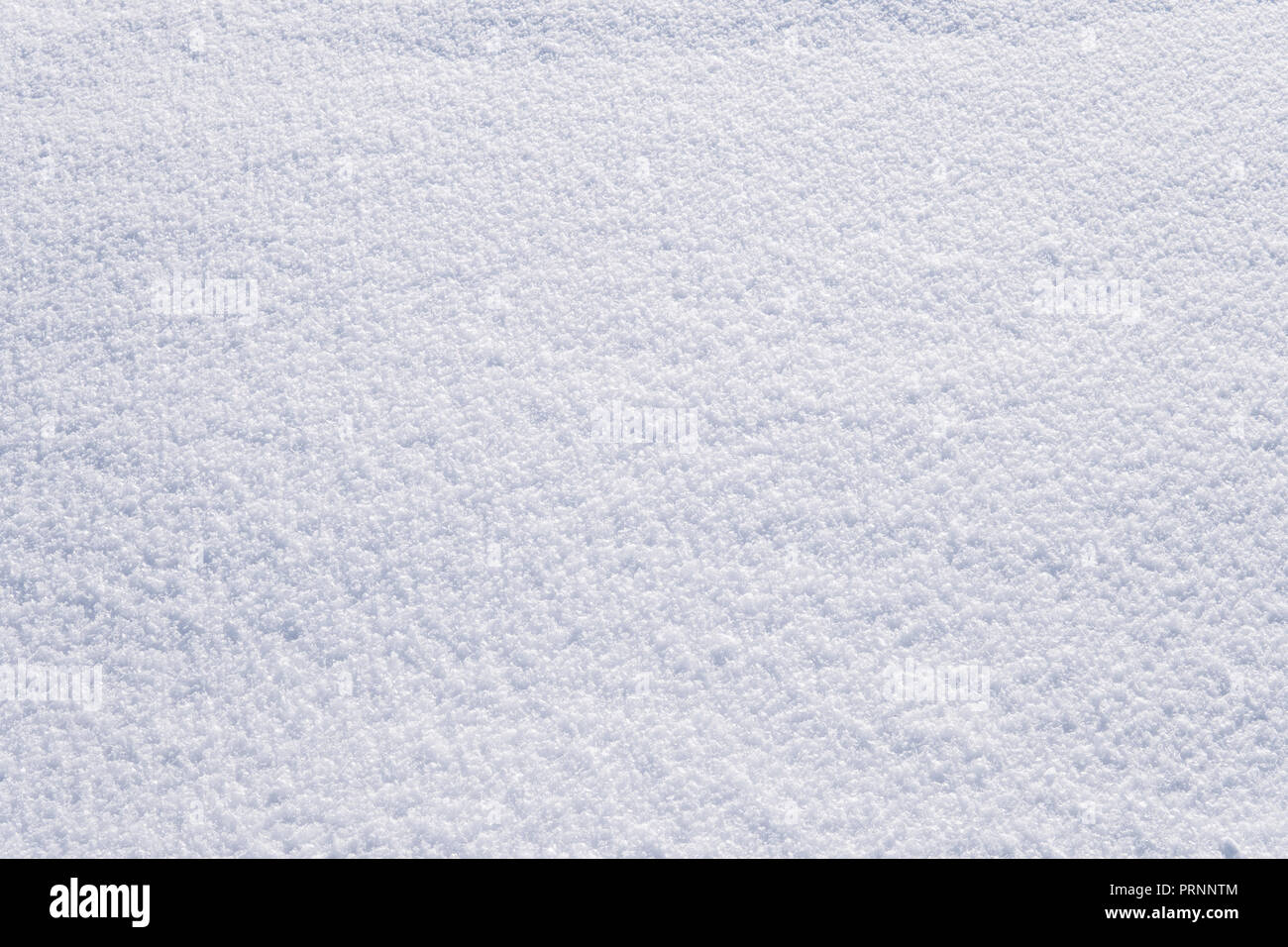 background of fresh snow texture in blue tone. white texture of freshly fallen snow Stock Photo