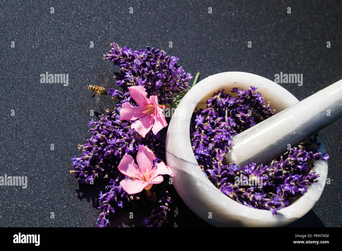 Lavender natural medicine Stock Photo Alamy