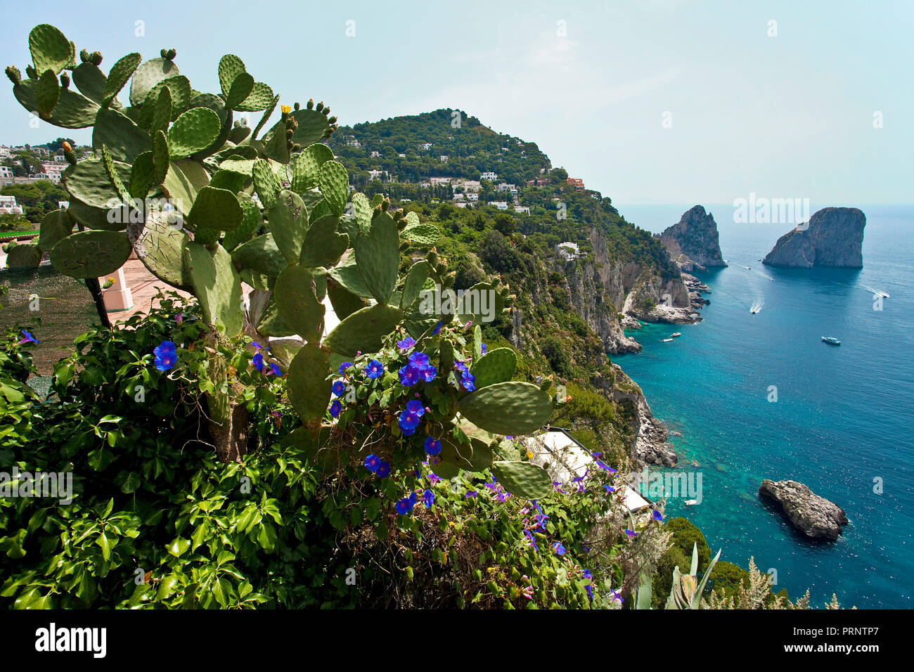 Faraglioni capri italy hi-res stock photography and images - Alamy