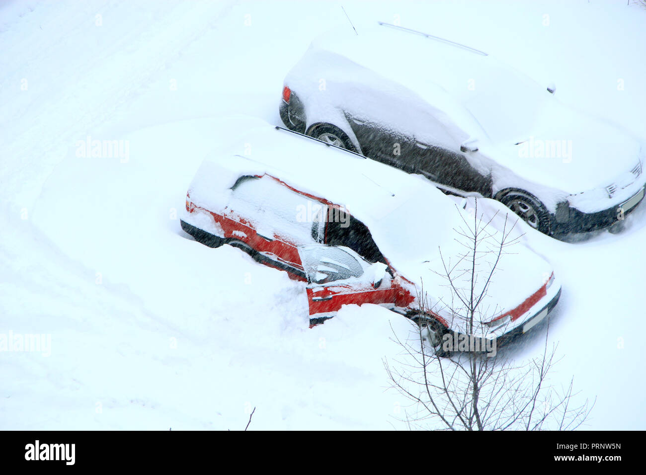 Man trying to free his car from snowy captivity. Parked cars covered with snow. Bad weather in town. Snowy day. Urban scene. Weather concept. Automobi Stock Photo