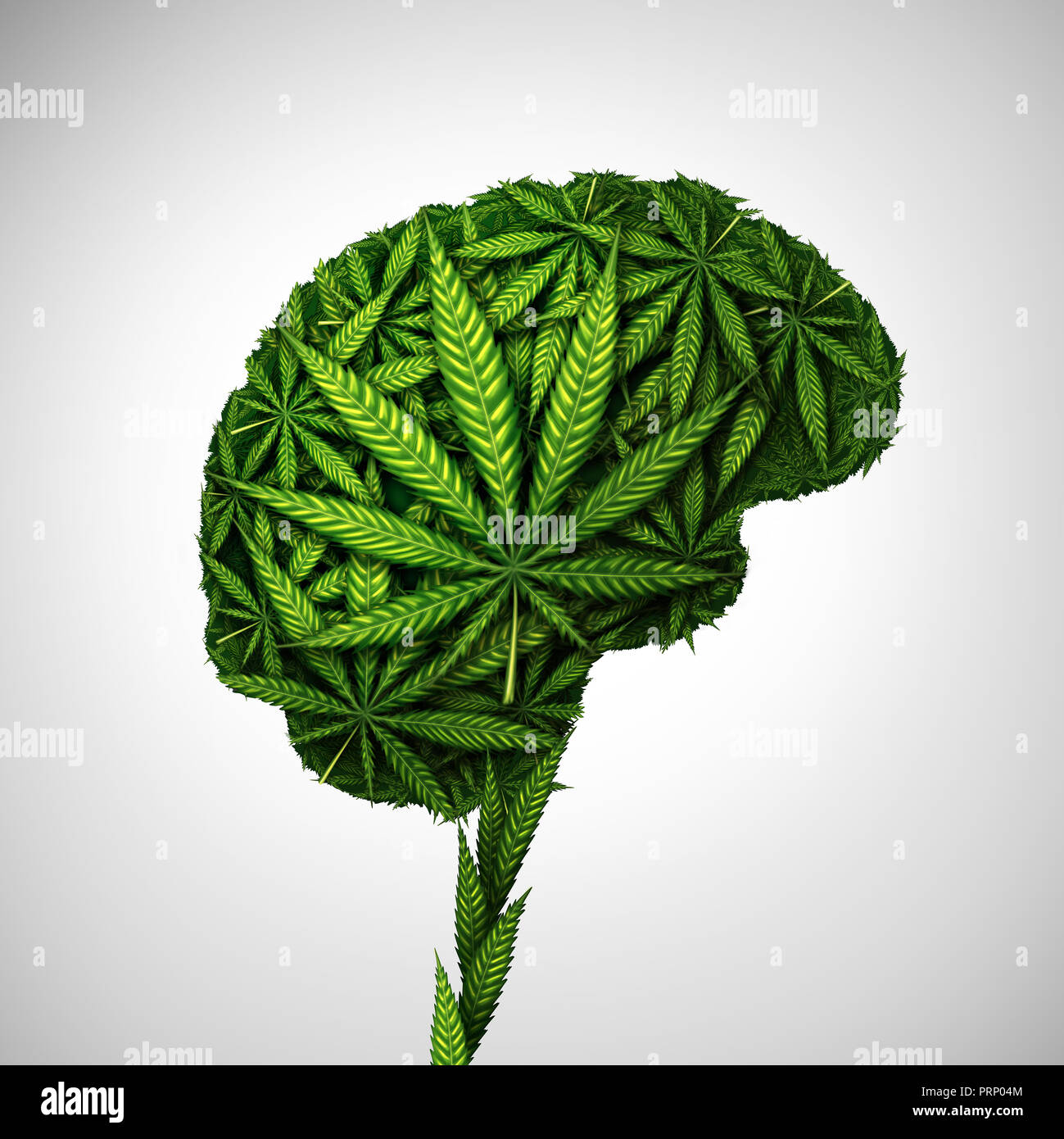 Cannabis brain and marijuana neurological effect on thinking as a human  organ made of weed leaves as a pot or herbal medicine patient and effects  Stock Photo - Alamy