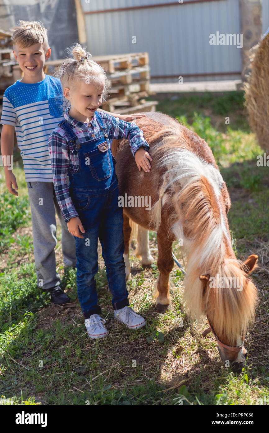 siblings standing near cute pony at farm Stock Photo