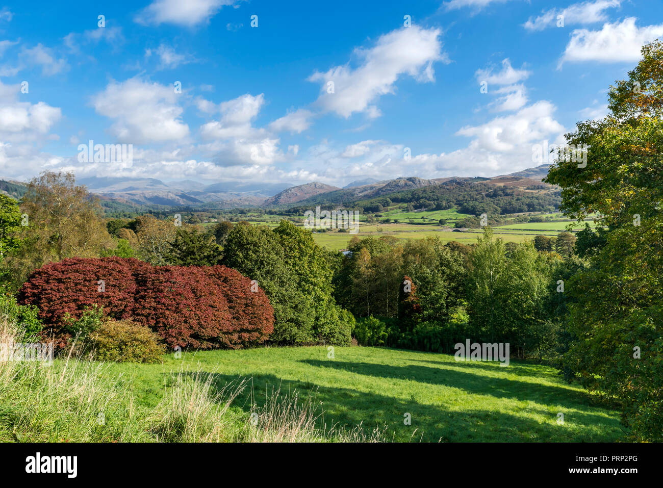 View down Eskdale from the grounds of Muncaster Castle, Ravenglass, Lake District National Park, Cumbria, UK Stock Photo