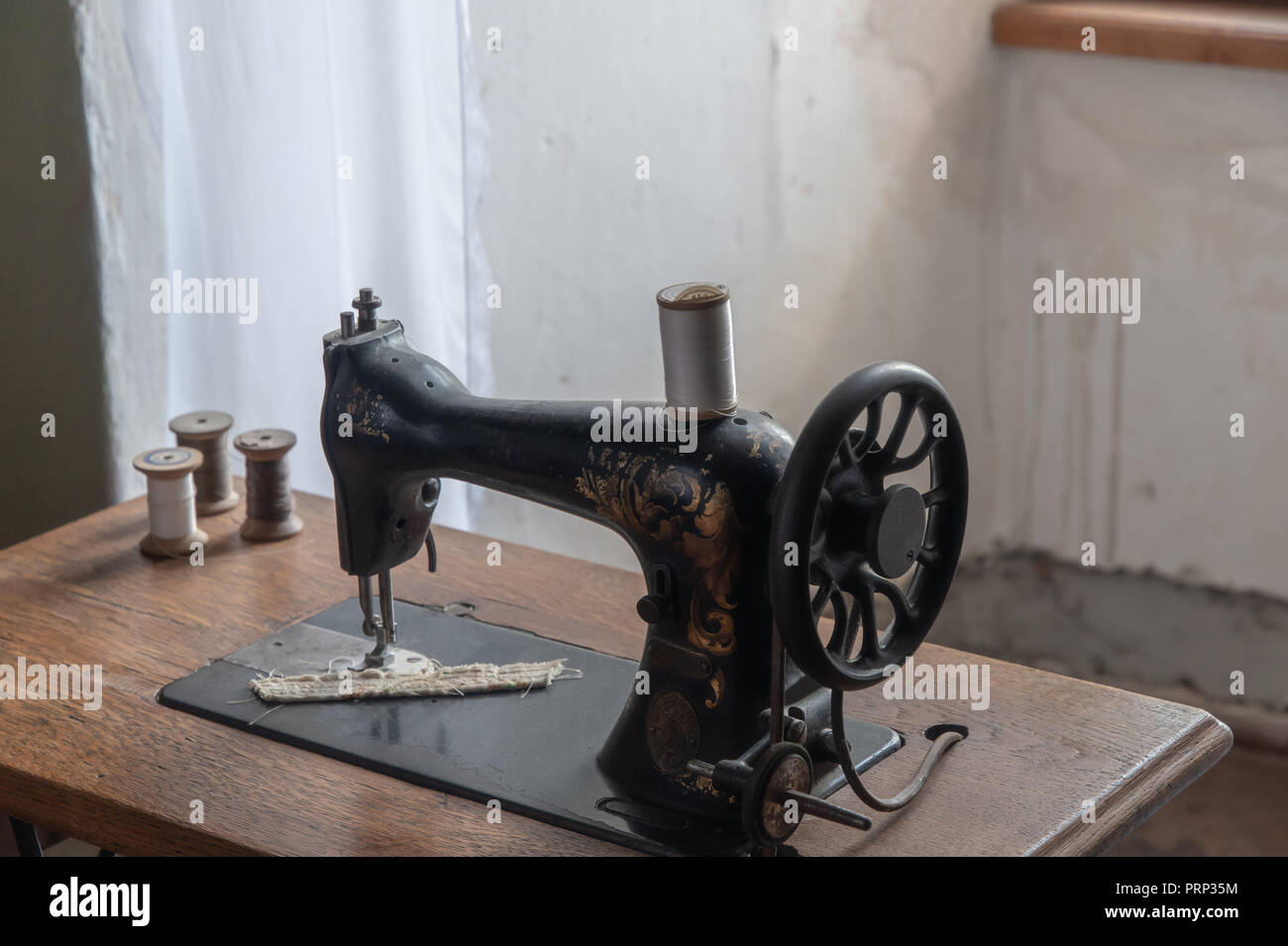 Page 4 - Eichhorn High Resolution Stock Photography and Images - Alamy