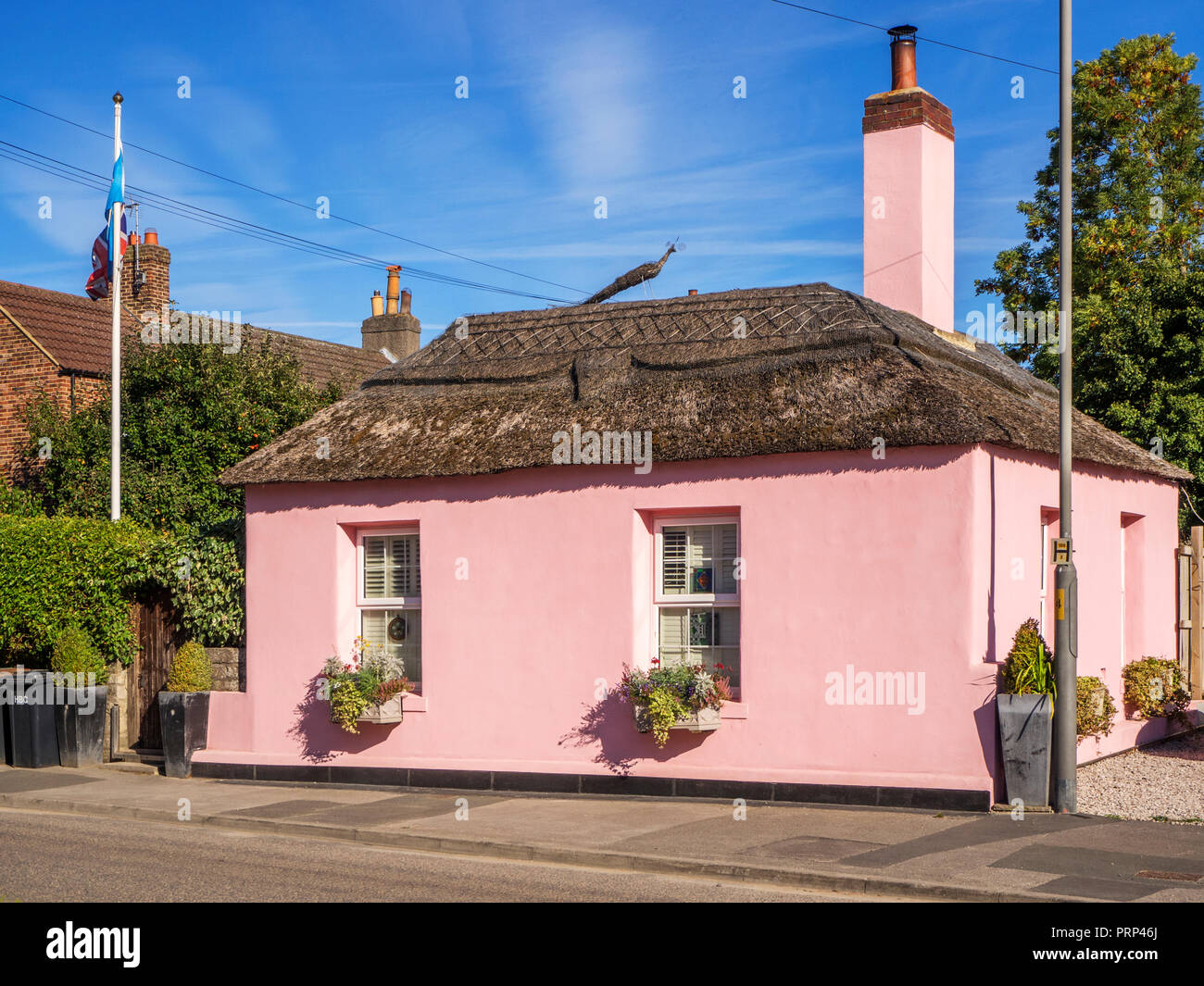 Pink painted cottage with a thatched roof with signature thatch peacock