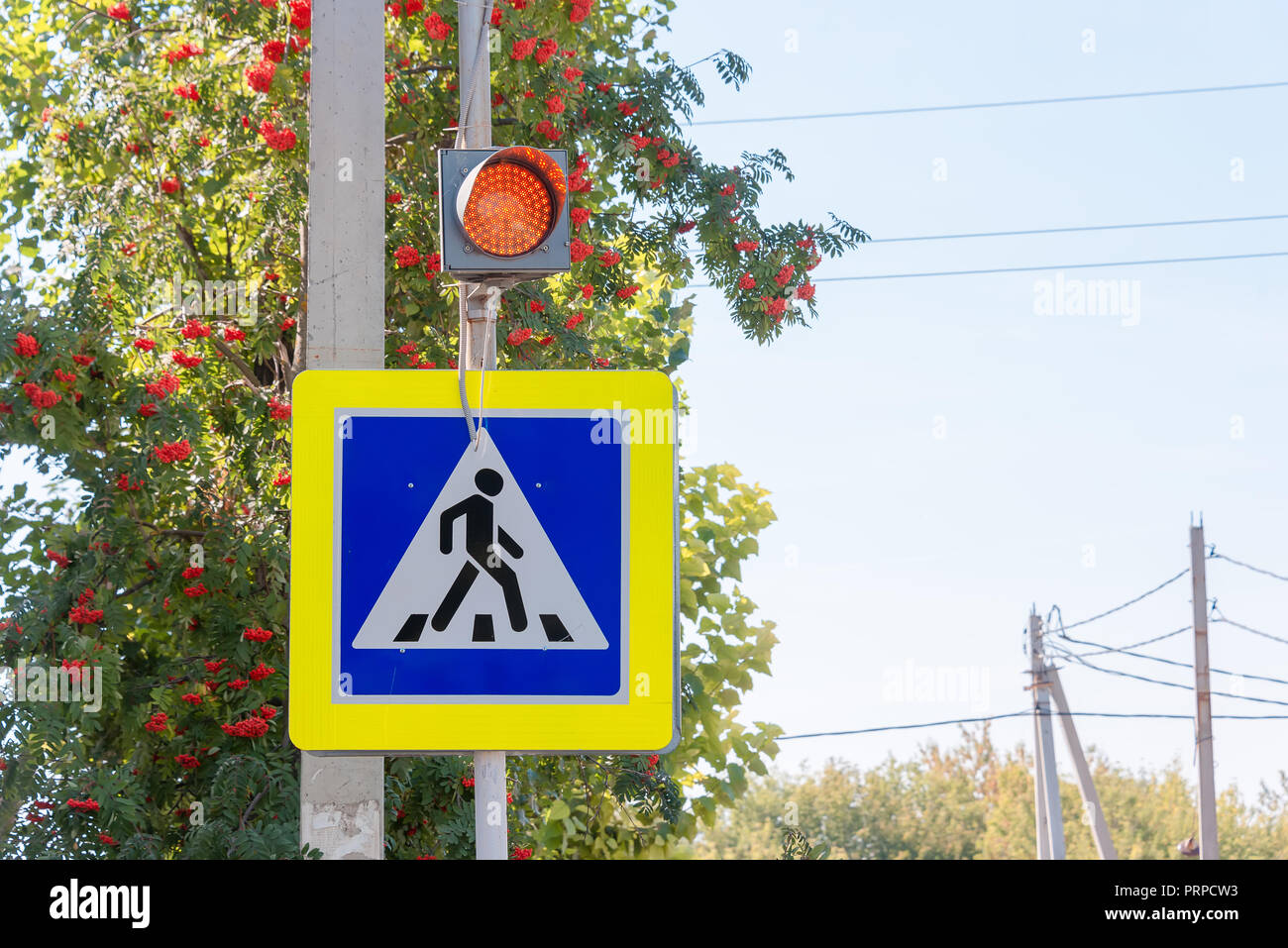 traffic light on the pedestrian crossing, prohibiting the red stop ...