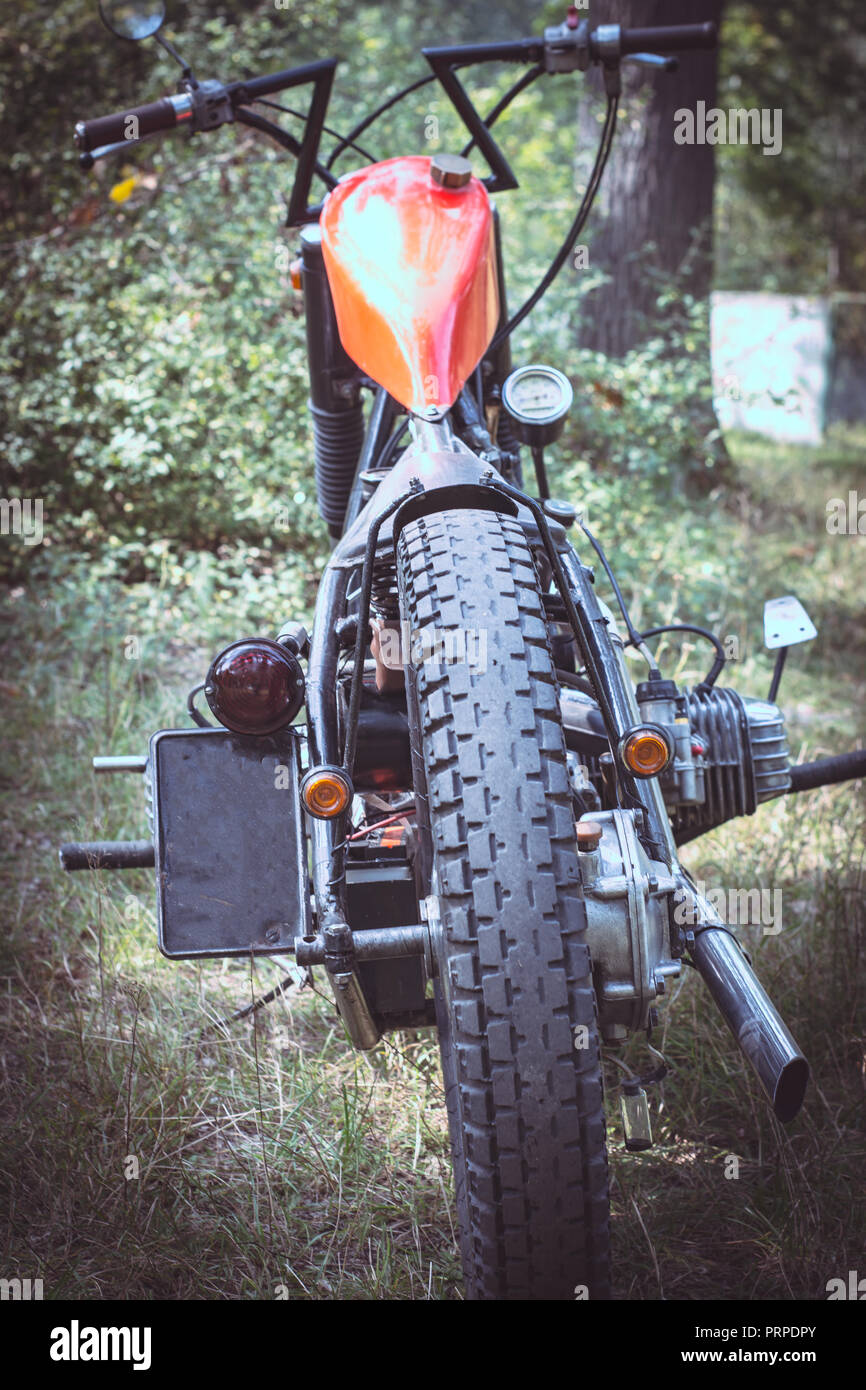 Vintage motorcycle at forest sunny day Stock Photo - Alamy
