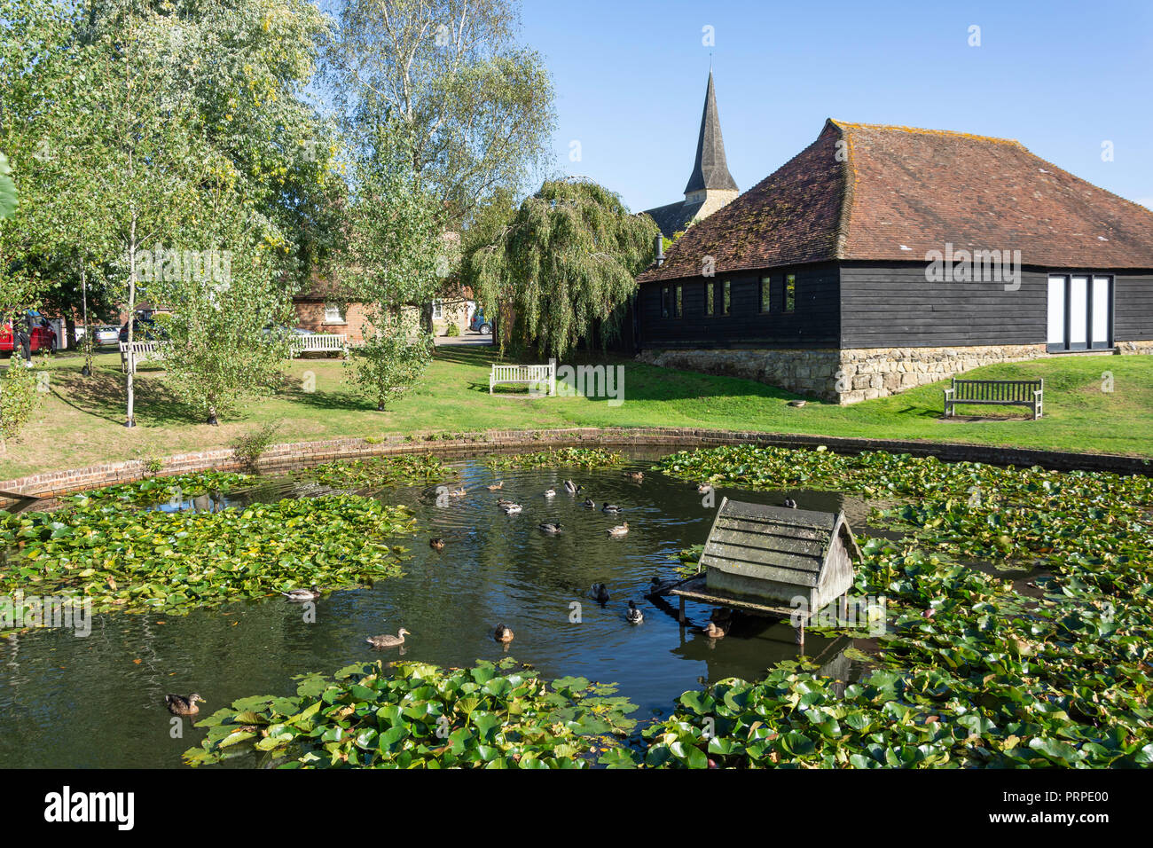 Village pond, Wisborough Green, West Sussex, England, United Kingdom Stock Photo