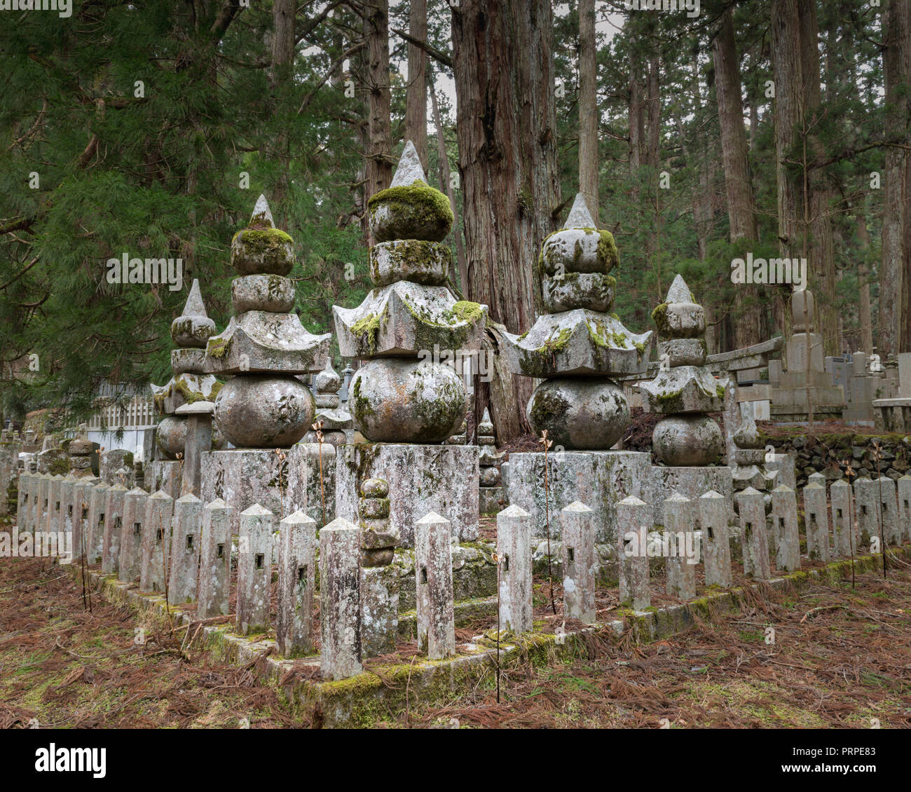 Japan, Koyasan, Okunoin cemetery. Stock Photo