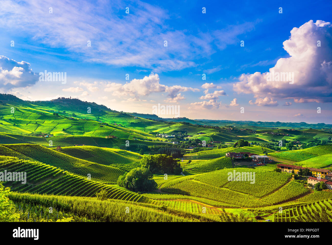 Langhe vineyards sunset panorama, near Barolo, Unesco Site, Piedmont, Northern Italy Europe. Stock Photo