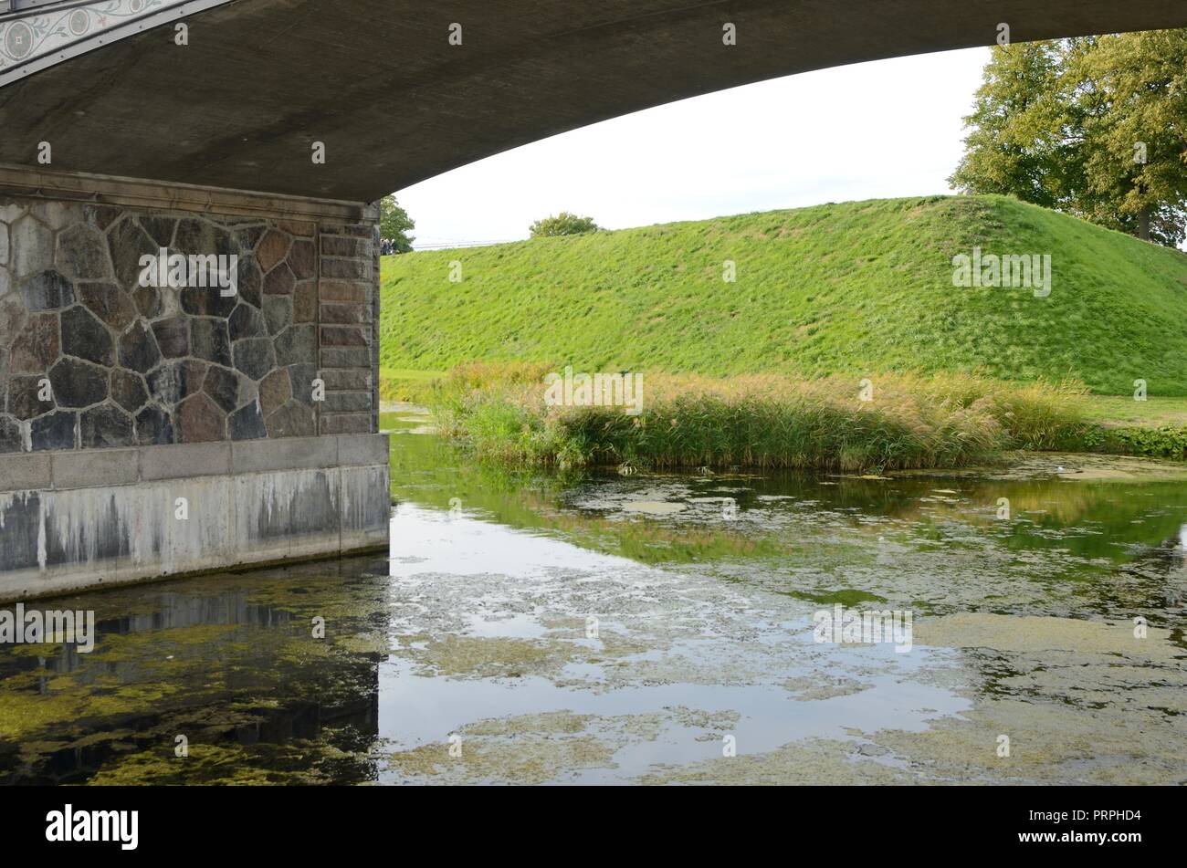 under the bridge album red hot chili peppers under the bridge other recordings of this song