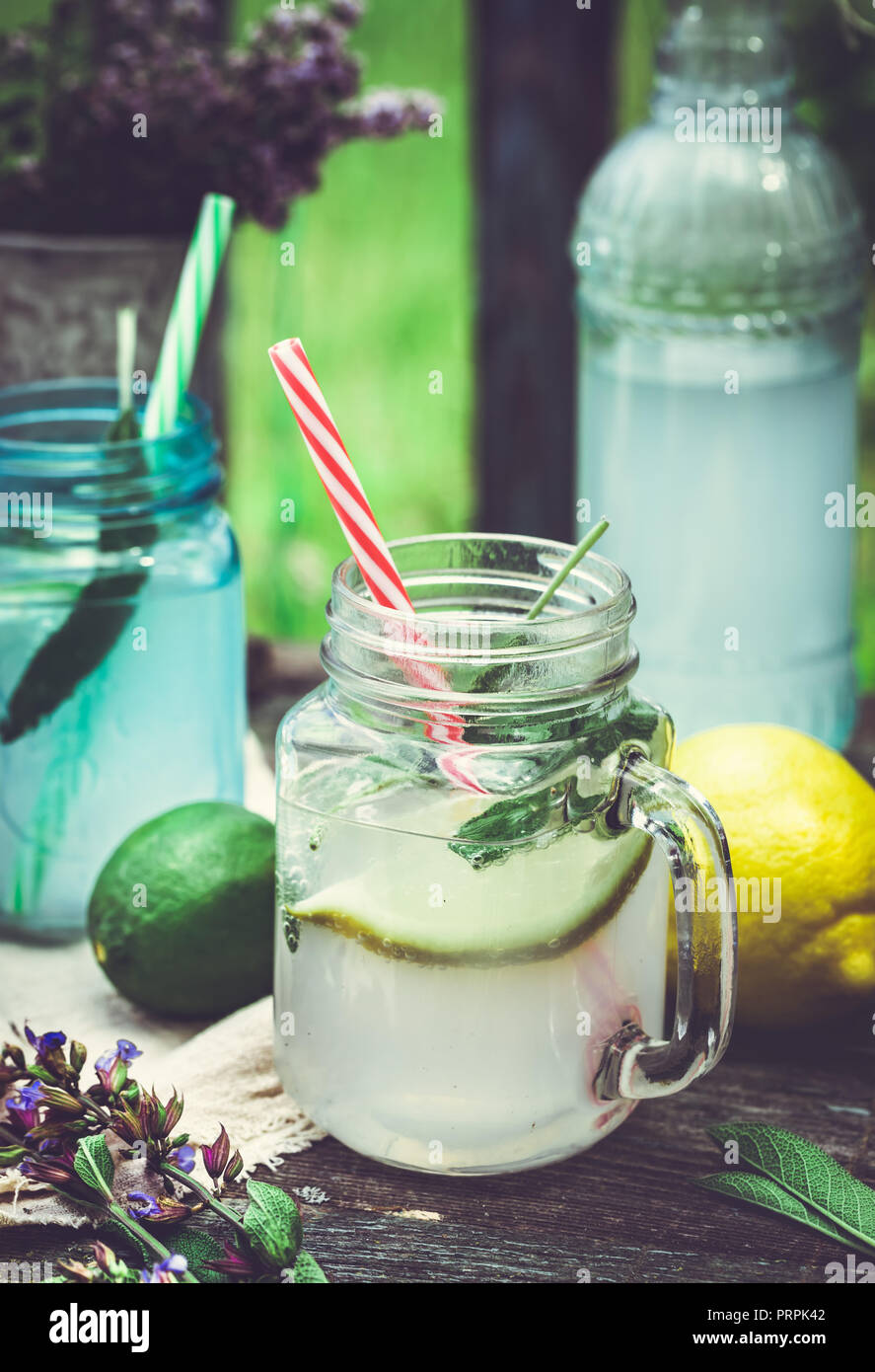 Drink infused with citrus and sage Stock Photo