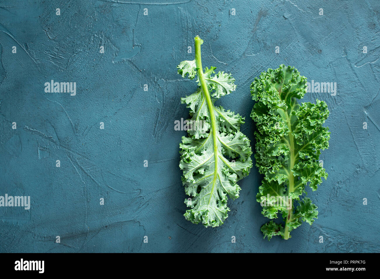 Two kale leaves with copy space Stock Photo