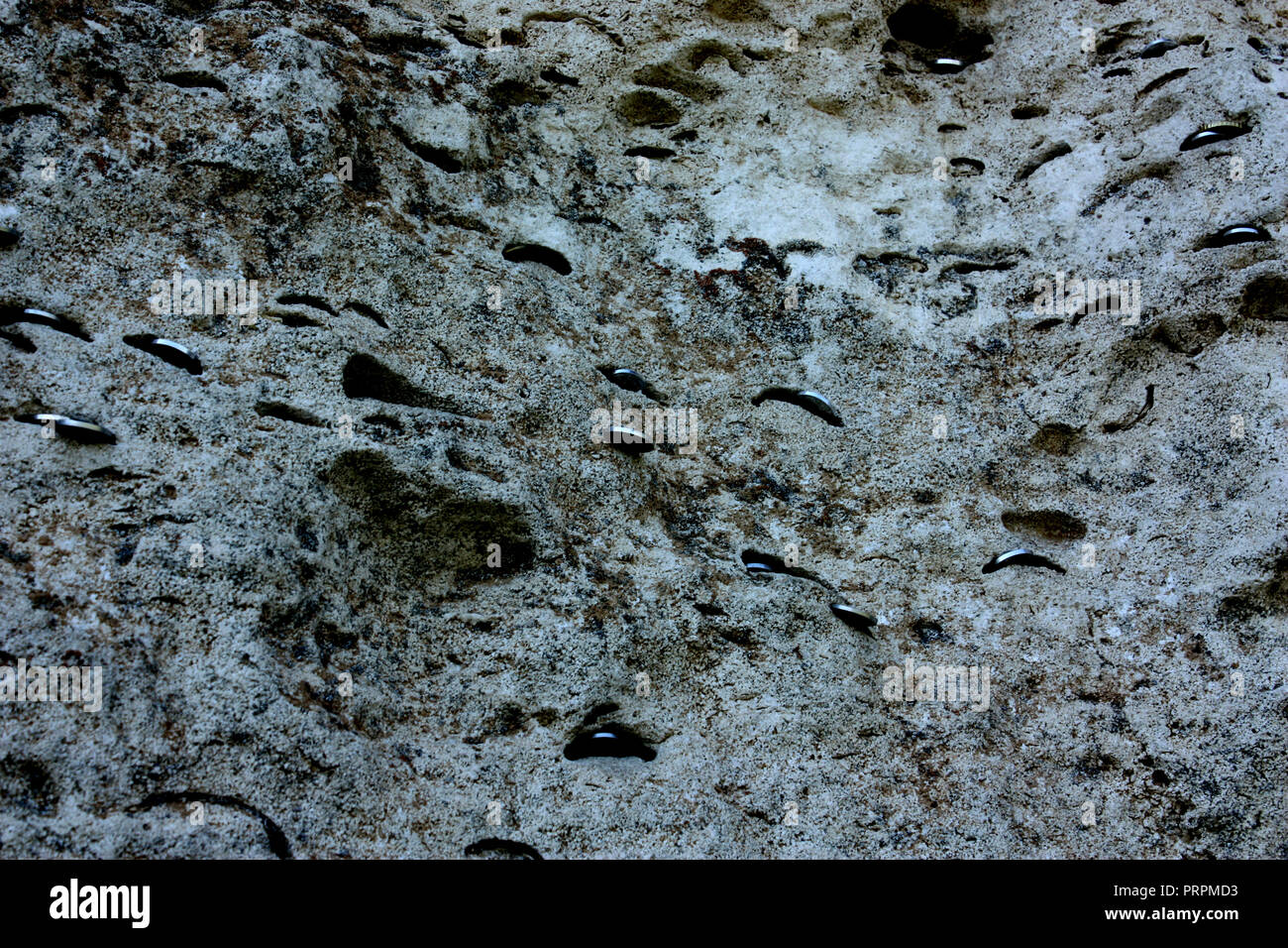Coins stuck into the soft rock at the monastery cut out of rock at ...