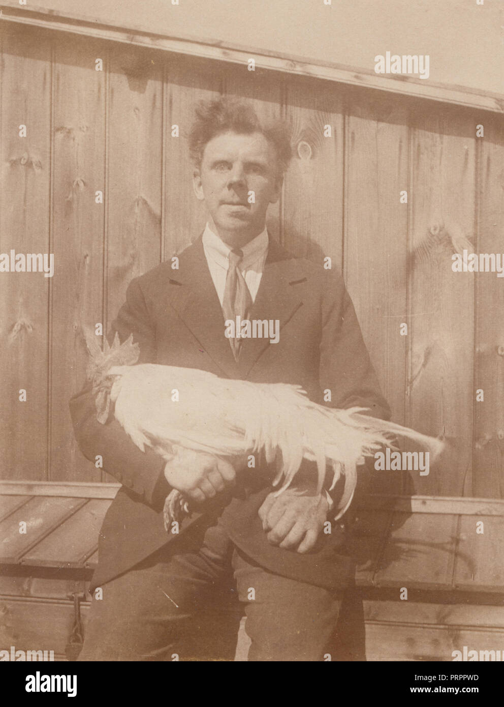 * Vintage Photograph of a Man With Scruffy Hair Holding a Cockerel or Rooster. Stock Photo