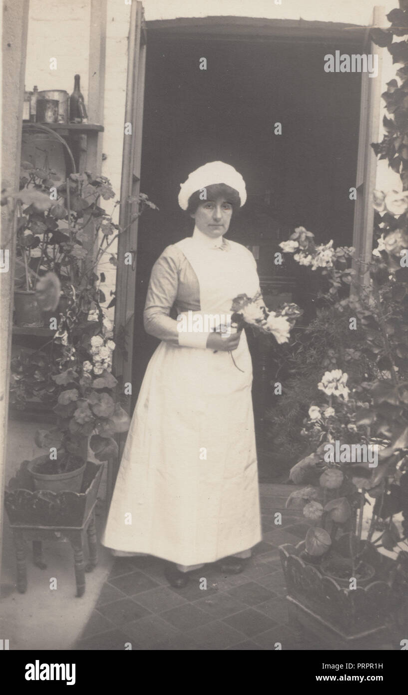 * Vintage Photograph of a Female Edwardian Maid or Nurse Picking Flowers Stock Photo